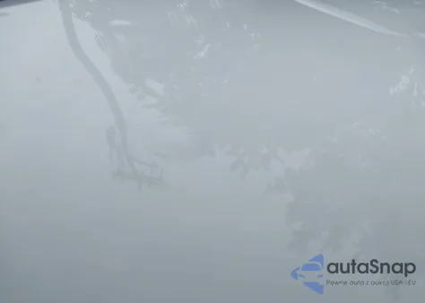 2019 Chevrolet Malibu 1Fl из США, поврежденный, VIN 1G1ZC5ST6KF117593